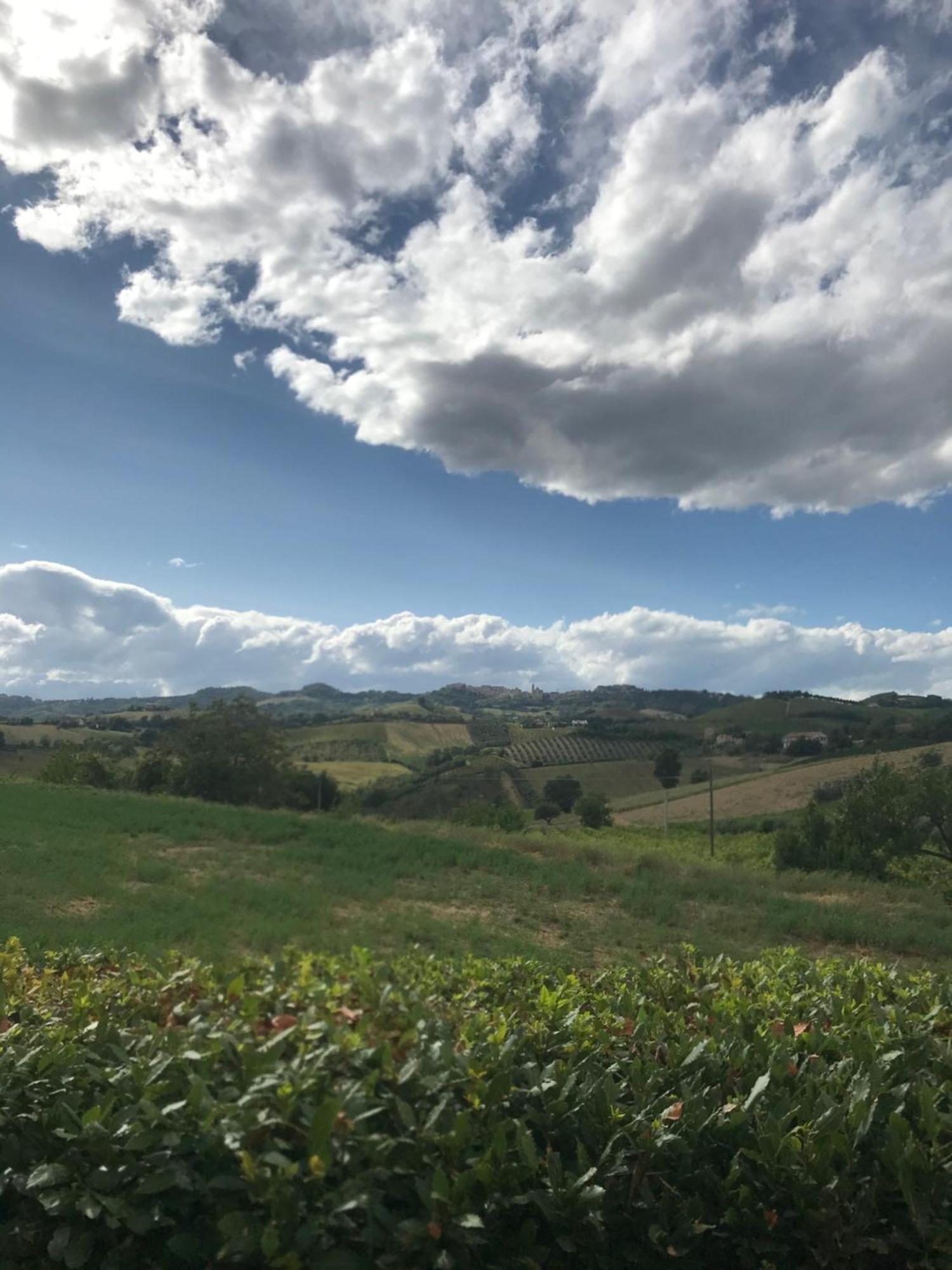 Agriturismo Cerquatonda Montalto delle Marche Exteriör bild