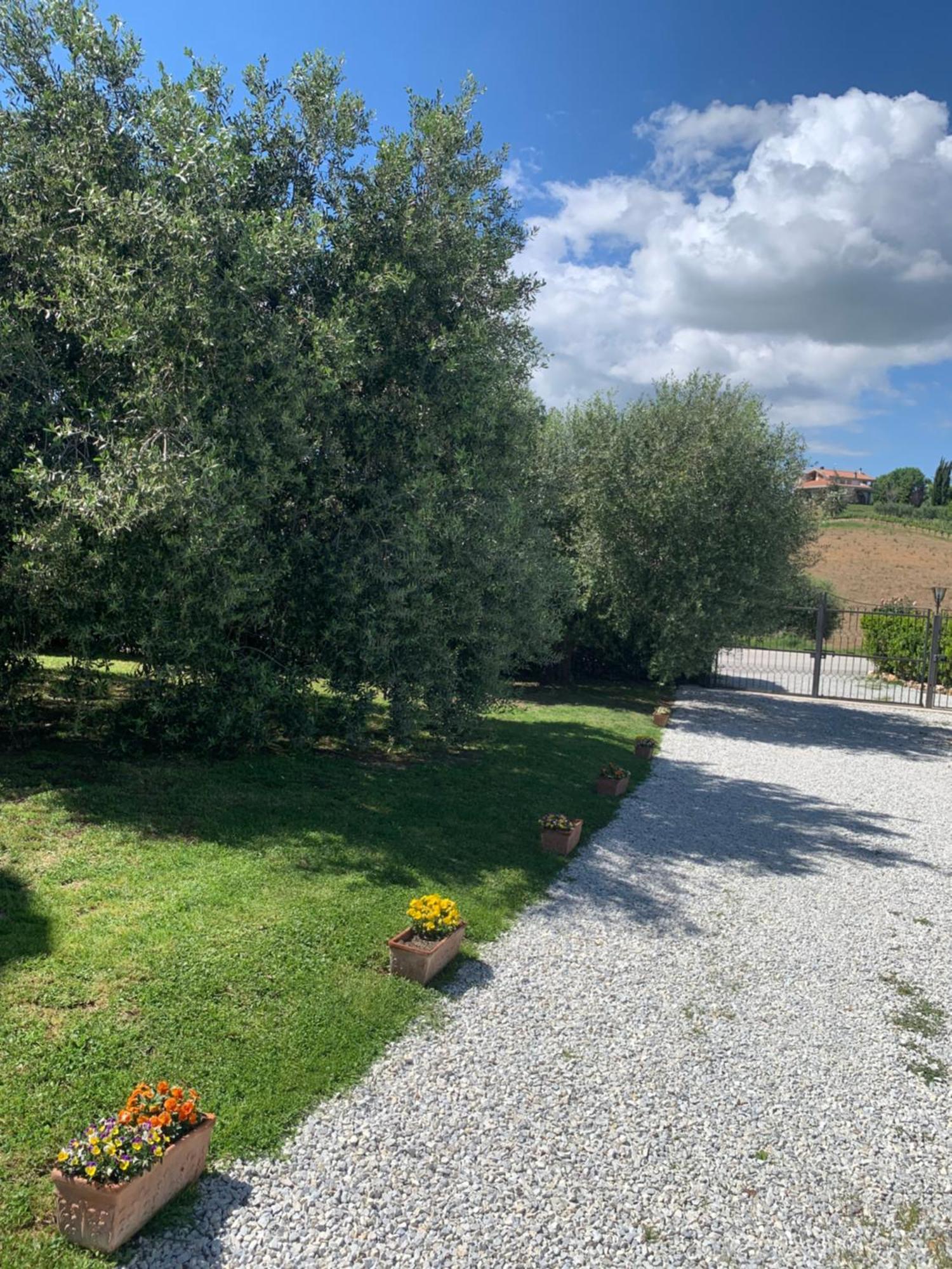 Agriturismo Cerquatonda Montalto delle Marche Exteriör bild